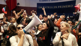 Protesters storm Mexican Senate to disrupt judicial reform debate