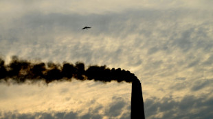 Un procès historique sur le climat devant la Cour de La Haye