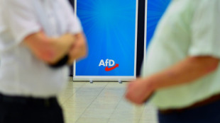 Wirtschaft sieht Erstarken der AfD als Standortrisiko - Irritationen im Ausland