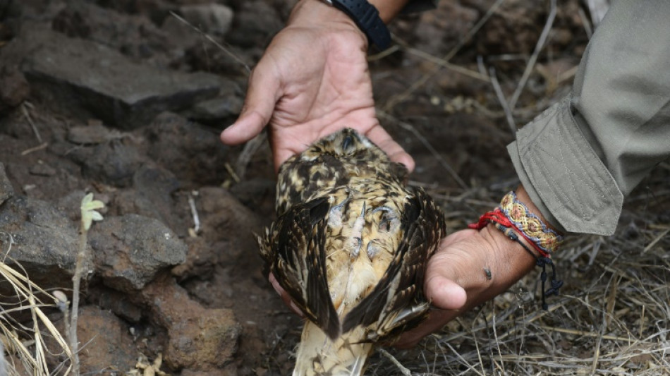 Ecuador introducirá especies desaparecidas en una isla de Galápagos