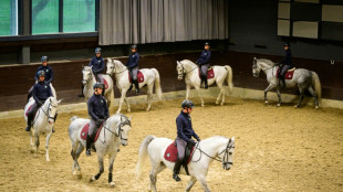 Criadores de caballos lipizzanos celebran su inclusión en la lista de la UNESCO