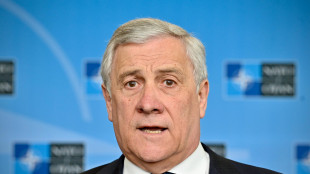 Tajani lancia candidatura italiana per inviato Nato fianco sud