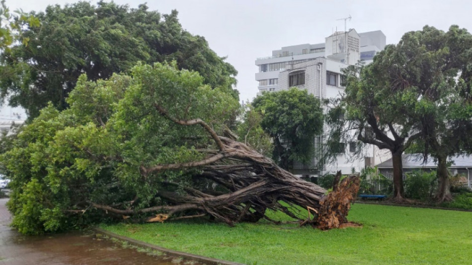 Japon: un mort et 200.000 foyers toujours sans électricité au passage d'un typhon à Okinawa