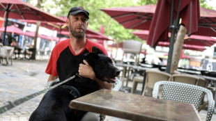 Ames blessées, militaires et chiens s'adoptent pour renouer avec la vie