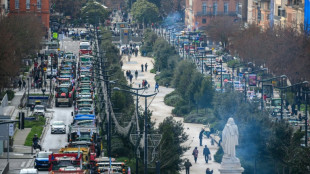 A Toulouse, la colère des agriculteurs d'Occitanie ne faiblit pas