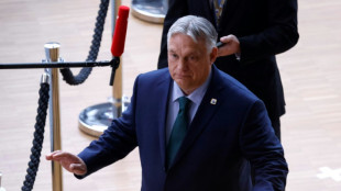 Orban visita Ucrânia pela primeira vez desde o início da guerra apesar das tensões