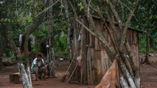 Siglos de historia y un callejón sin salida para pueblo guaraní en Brasil