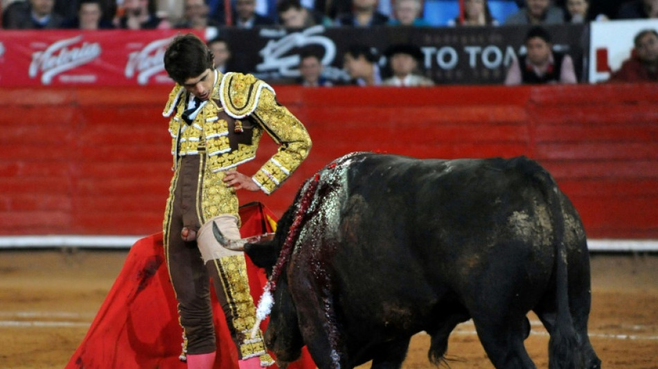 Mexican judge suspends bullfights in world's largest ring