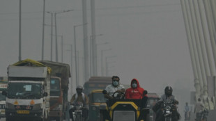 Sieben Prozent der Todesfälle in Indiens Städten durch Luftverschmutzung verursacht