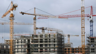 Immobilienexperten rechnen mit weiter steigenden Baukosten