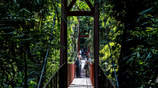 El cambio climático disipa el bosque nuboso de Monteverde en Costa Rica