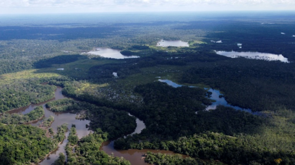 Peru cria reserva indígena na Amazônia para proteger povos em isolamento