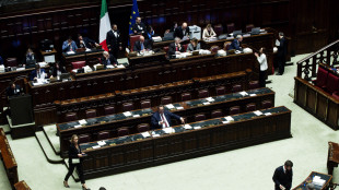 Ok Camera alla risoluzione di maggioranza sul Psb, 183 sì