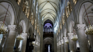 Réouverture de Notre-Dame: un message du pape s'ajoute au programme des célébrations