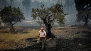 Wildfires spread across heatwave-hit Europe