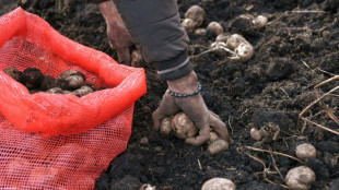 Erzeugerpreise für landwirtschaftliche Produkte steigen weiter 