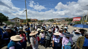 Bolivia 'going from bad to worse': At the barricades with Morales supporters