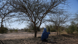 Début de la COP15 contre la désertification à Abidjan, face à "l'urgence" 