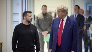 Zelensky, 'eccellente scambio telefonico con Trump'