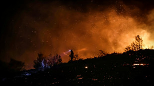 Greece uses planes to fight wildfires around Athens