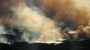 Dans le ciel de Los Angeles, avions-citernes et hélicoptères luttent contre les flammes