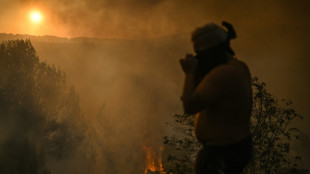 Los bomberos luchan por evitar la reactivación de un incendio forestal cerca de Lisboa