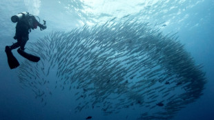 A pesar de la controversia, la idea de los créditos de biodiversidad se abre paso