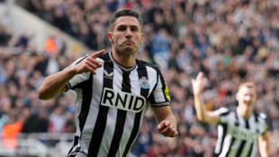 Newcastle goleia Tottenham (4-0) e é 6º colocado na Premier League