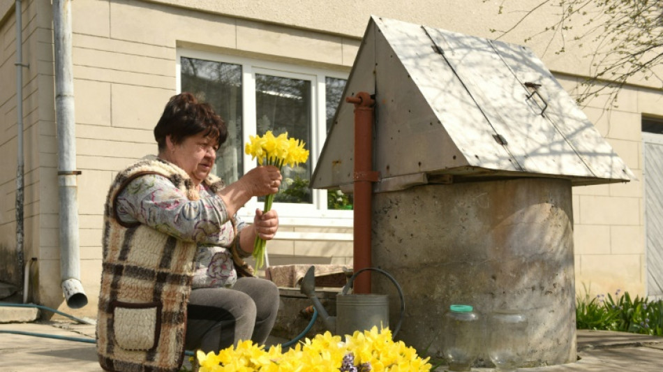 Dans l'Ukraine en guerre, le printemps prend des couleurs patriotiques