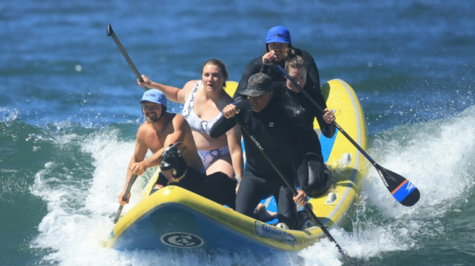 Des chèvres qui surfent ? En Californie, les biquettes relèvent le défi