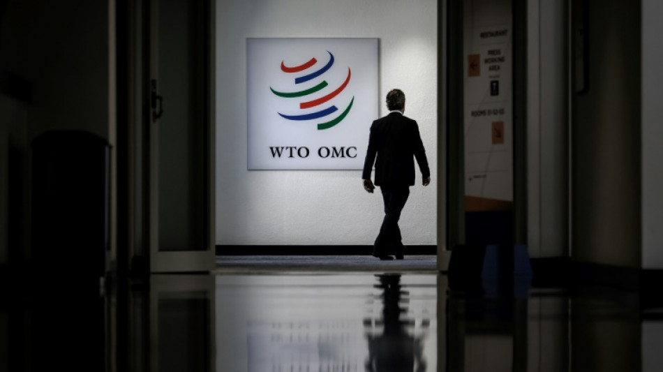 Hectic horse-trading as WTO talks enter overtime