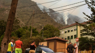 Feu à Tenerife: les pompiers protègent des maisons, la qualité de l'air affectée