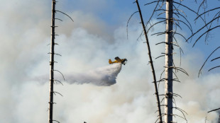 Waldbrand am Brocken: Einsatzkräfte löschen letzte Glutnester