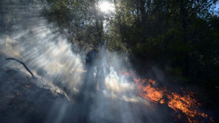 Fires near Athens under control as new blazes rage in Greece