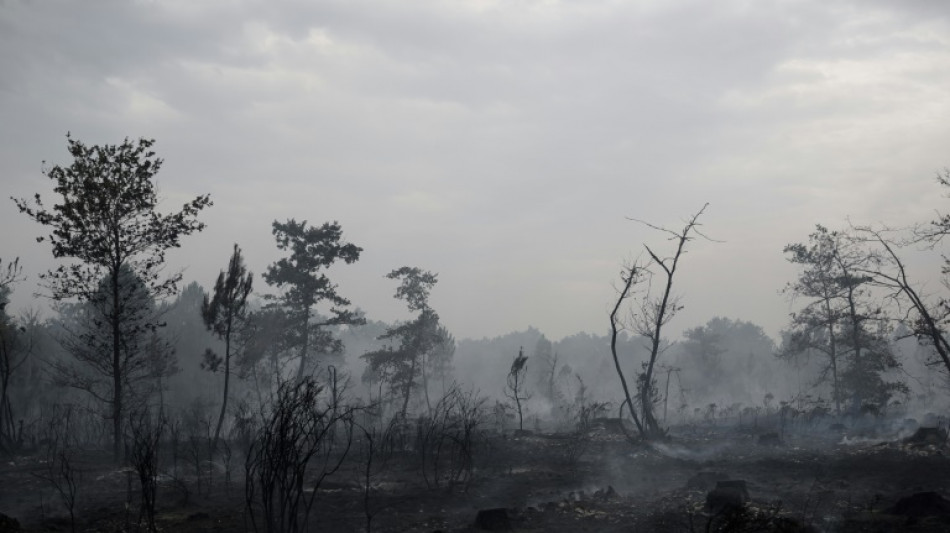 Cerca de 2.000 hectáreas calcinadas por un incendio forestal en Francia