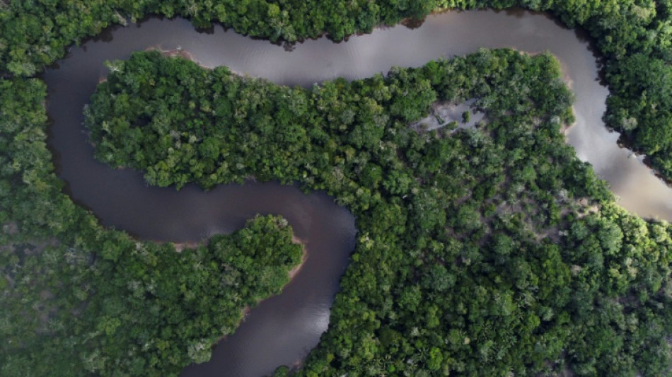 Vast network of lost ancient cities discovered in the Amazon