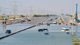 Dubai to build $8 bn stormwater runoff system after record floods