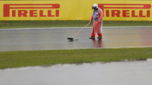 F1: les qualifications du GP du Brésil reportées à dimanche à cause de la pluie