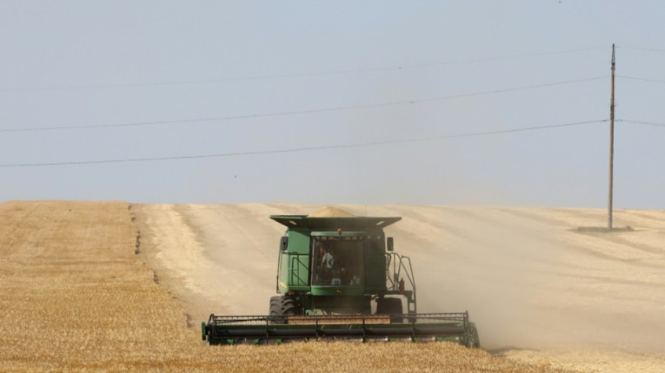 La UE considera inaceptable la prohibición en Polonia y Hungría a los cereales de Ucrania