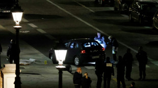 Paris officers shoot and kill two in car: police