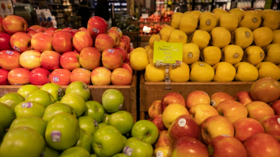 Ifo: Betriebe in Handel, Bau und Gastgewerbe nutzten Inflation zur Gewinnsteigerung