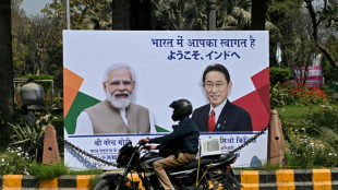 Japan PM visits India for 'candid' talks on Ukraine