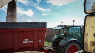 Entre les averses, les agriculteurs normands bouclent tant bien que mal la moisson des blés