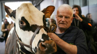 L'éleveur d'Oreillette, égérie du Salon de l'agriculture, veut "défendre la race normande"