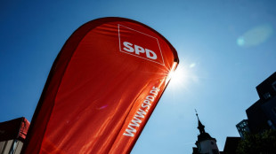 SPD-Fraktion will ländliche Räume stärken - Azubi-Wohnheime gefordert