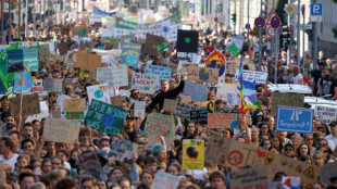 Thousands stage climate protests across Germany