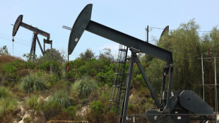 World will amass 'major' oil surplus by 2030: IEA