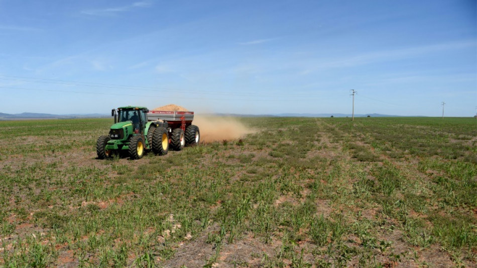 Polen erwartet deutliche Zugeständnisse der EU-Kommission an Landwirte