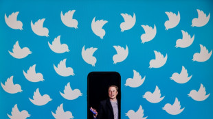 Malgré le chaos, Elon Musk promeut sa vision pour la modération du "nouveau Twitter"