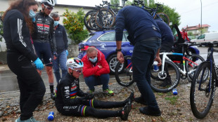 Tour d'Italie: un chien traverse la route,  Evenepoel chute et repart